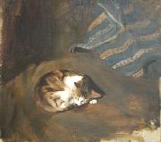 Paul Raud Sleeping cat by Paul Raud Spain oil painting artist